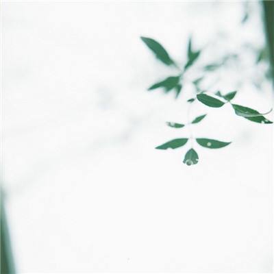 心动回忆小米版下载