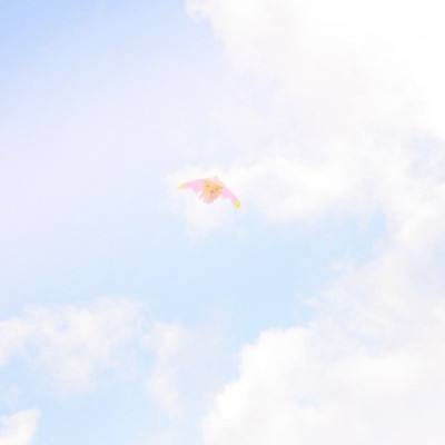 神仙劫九游版下载